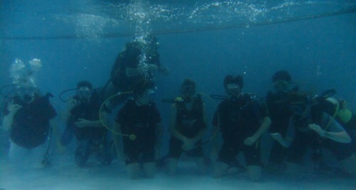 Photo of group of try divers underwater